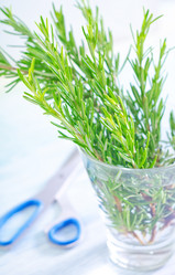 Similar image 7998412