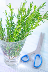 Similar image 7998414