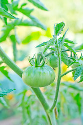 Similar image 7998415