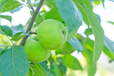 Similar image 7998419