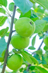 Similar image 7998425