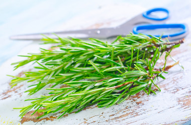 Similar image 7998433