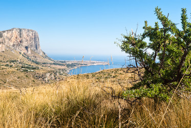 Similar image 7998470