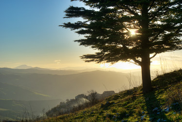 Similar image 7998505