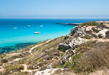 Similar image 7998617