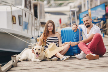 Similar image 7999135