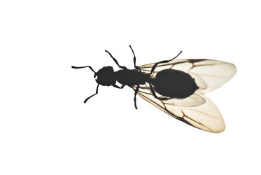 Similar image 7999713