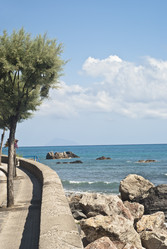 Similar image 8000597