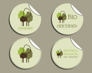 Similar image 8001025