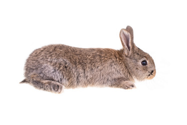 Similar image 8003235