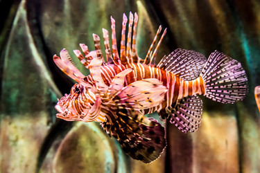 Similar image 8003269