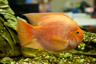 Similar image 8003495