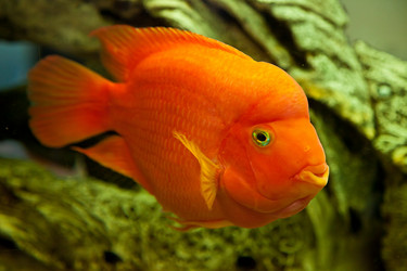 Similar image 8003497