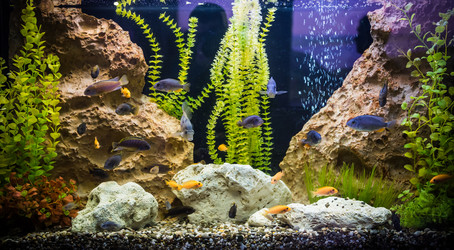 Similar image 8003500