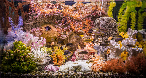 Similar image 8003502