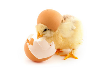 Similar image 8003532