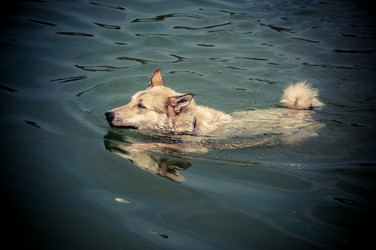 Similar image 8003774