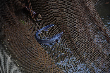 Similar image 8003775