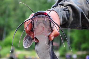 Similar image 8003776