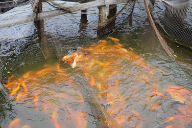 Similar image 8003777