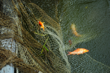 Similar image 8003778