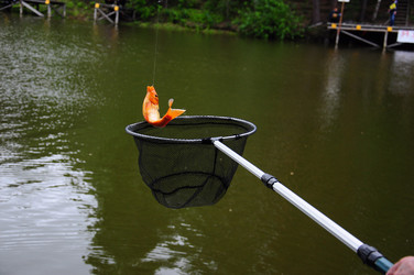 Similar image 8003780