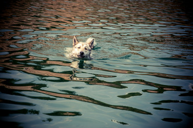 Similar image 8003781