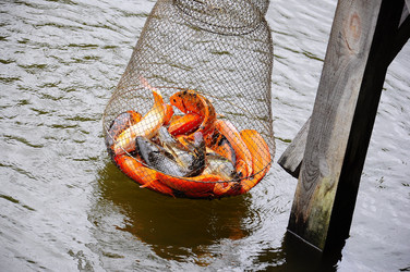 Similar image 8003783