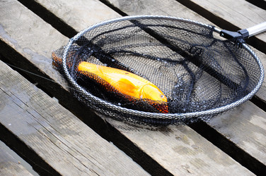 Similar image 8004060