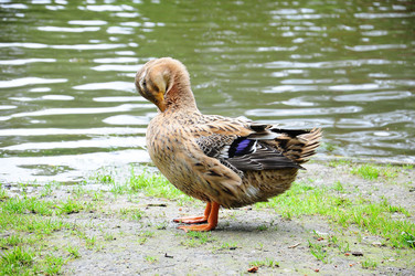 Similar image 8004347