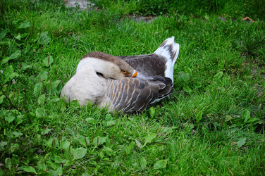 Similar image 8004348