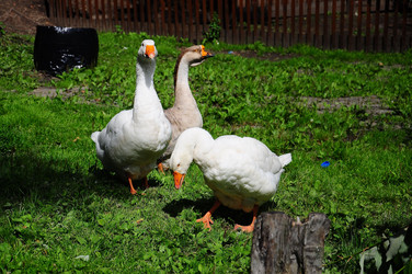 Similar image 8004349