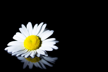 Similar image 8004769