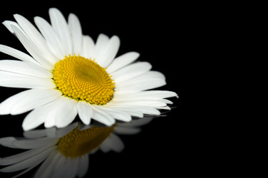 Similar image 8004771