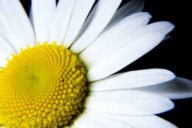 Similar image 8004772