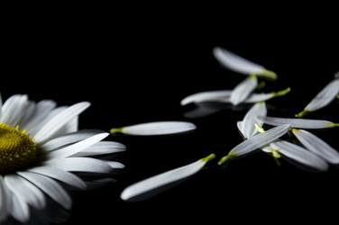 Similar image 8004773