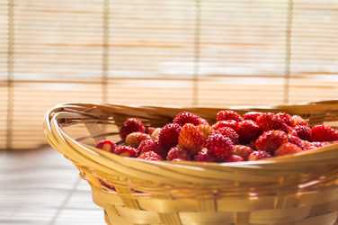 Similar image 8004775