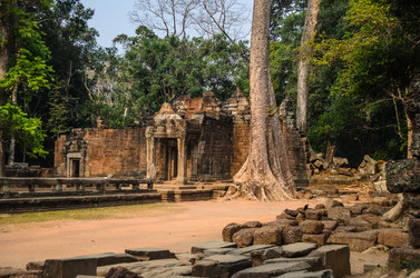 Similar image 8004787