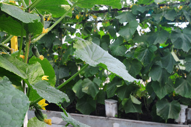 Similar image 8004792