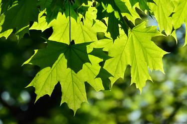 Similar image 8004842