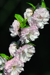 Similar image 8004843