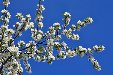 Similar image 8004844