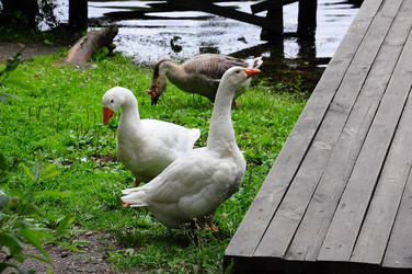 Similar image 8004860