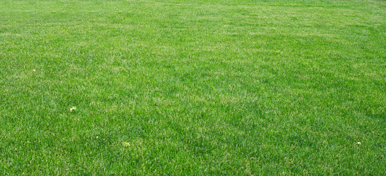 Similar image 8004932