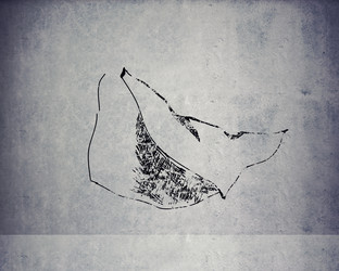 Similar image 8004972