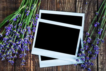 Similar image 8005136