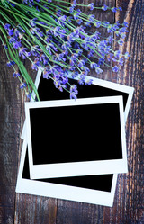 Similar image 8005152