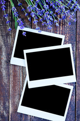 Similar image 8005153