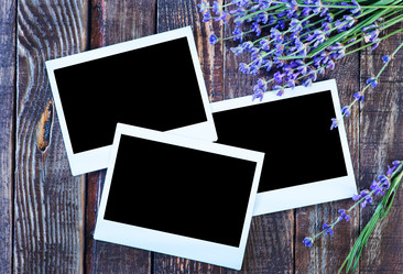 Similar image 8005154