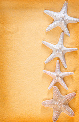 Similar image 8005184